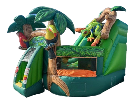 Rainforest Kids Combo